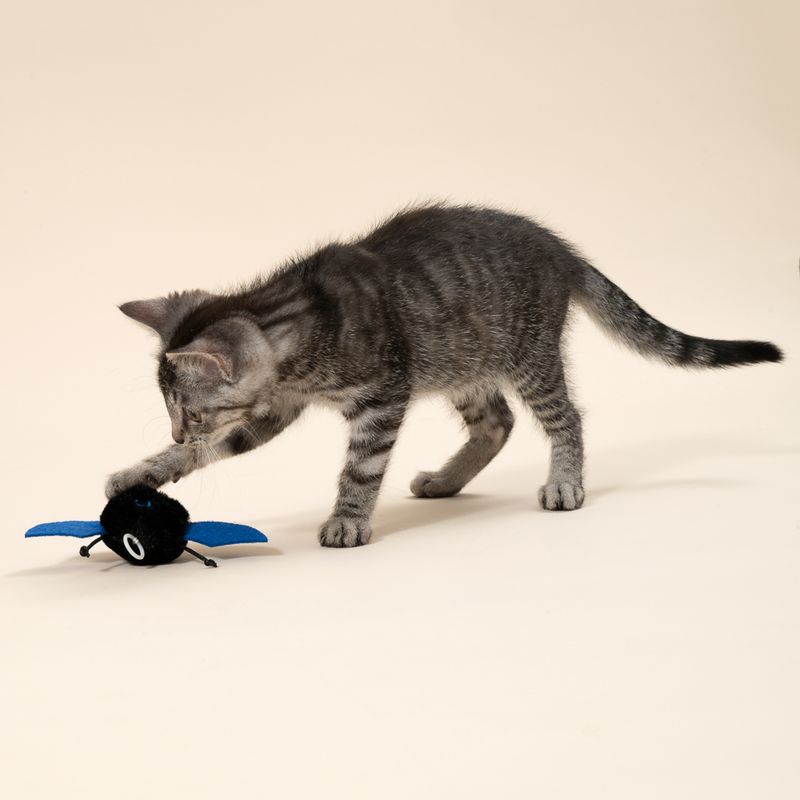 TIAKI Vibrating Bat with Retracting Pull String Cat Toy 1 Toy