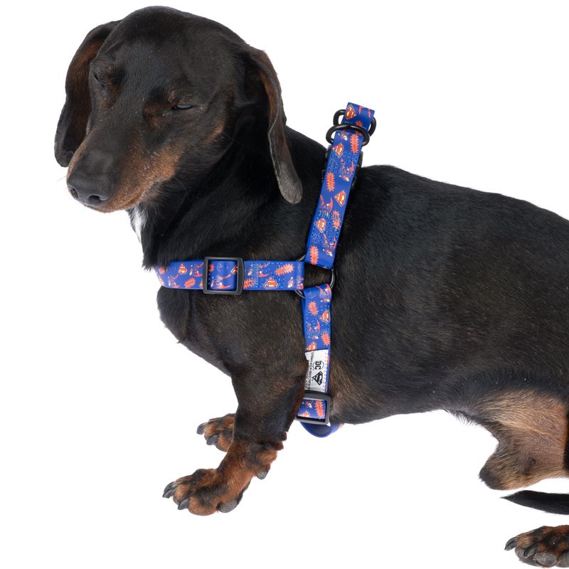 DC Superman Harness - Blue Size S: Chest Circumference 39 - 51 cm