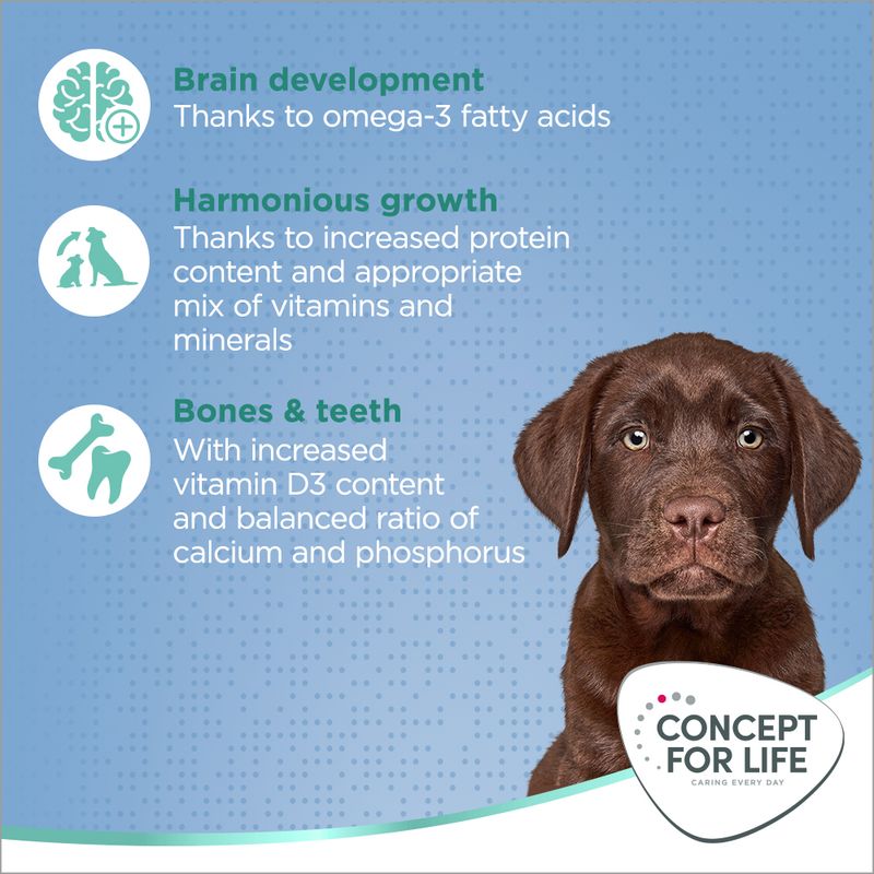 Concept for Life Large Puppy & Junior 1.5kg