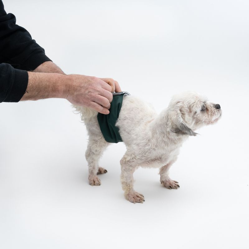 kooa Washable Nappy for Male Dogs Size S