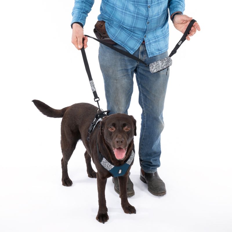 TIAKI Reflective Harness Size XS: approx. 33 - 40 cm Chest Circumference