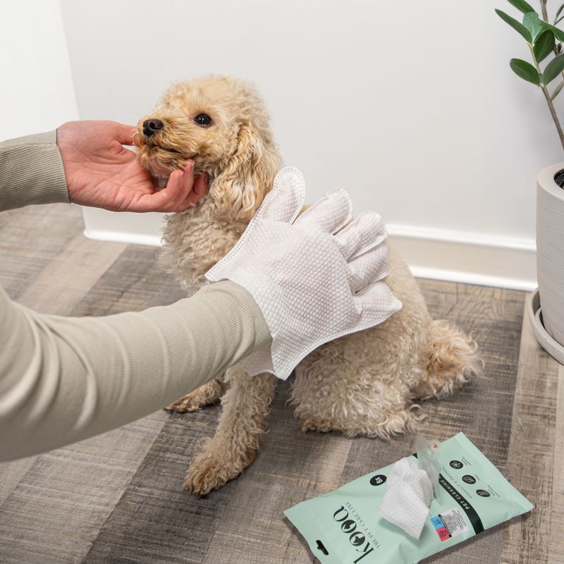 kooa Pet Cleaning Gloves 3 Pairs (6 Gloves)