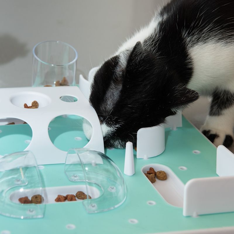 Slo-Mo Cat Toy 1 Toy