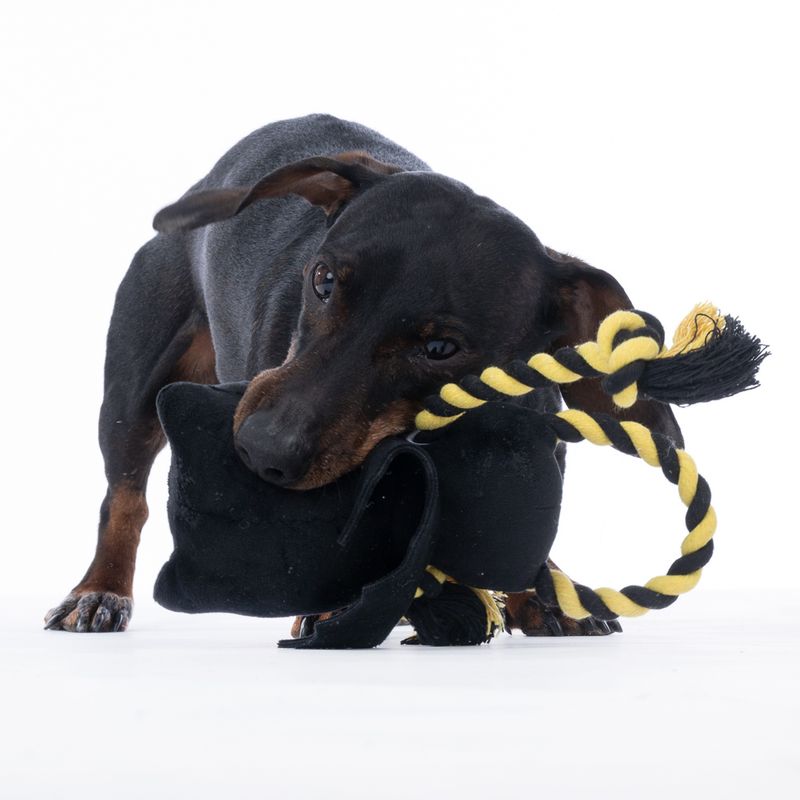 Warner Bros™ DC Batman Rope Dog Toy 25 x 16 cm (L x W)