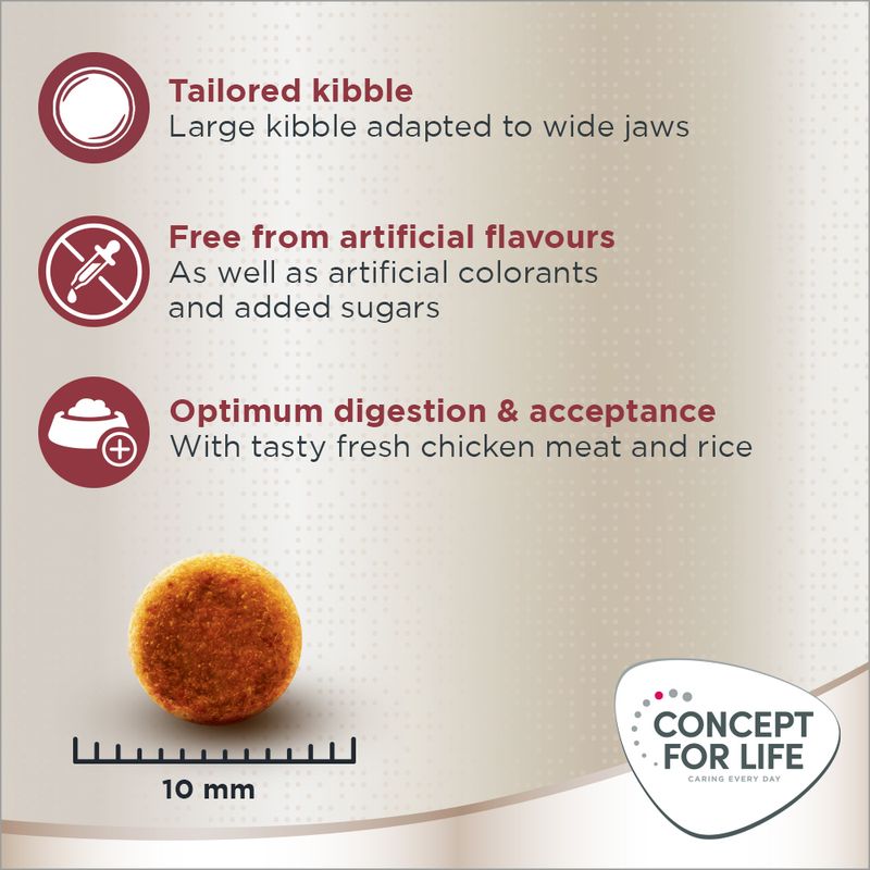 Concept for Life Maine Coon Adult 400g