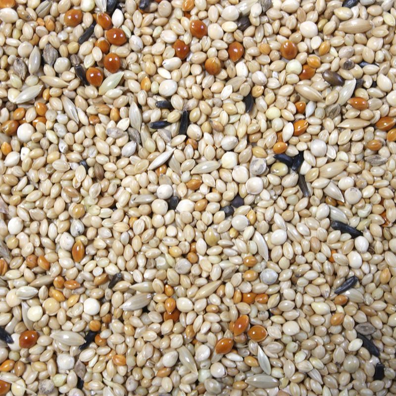 Hugro “Super” Exotic Food 700g