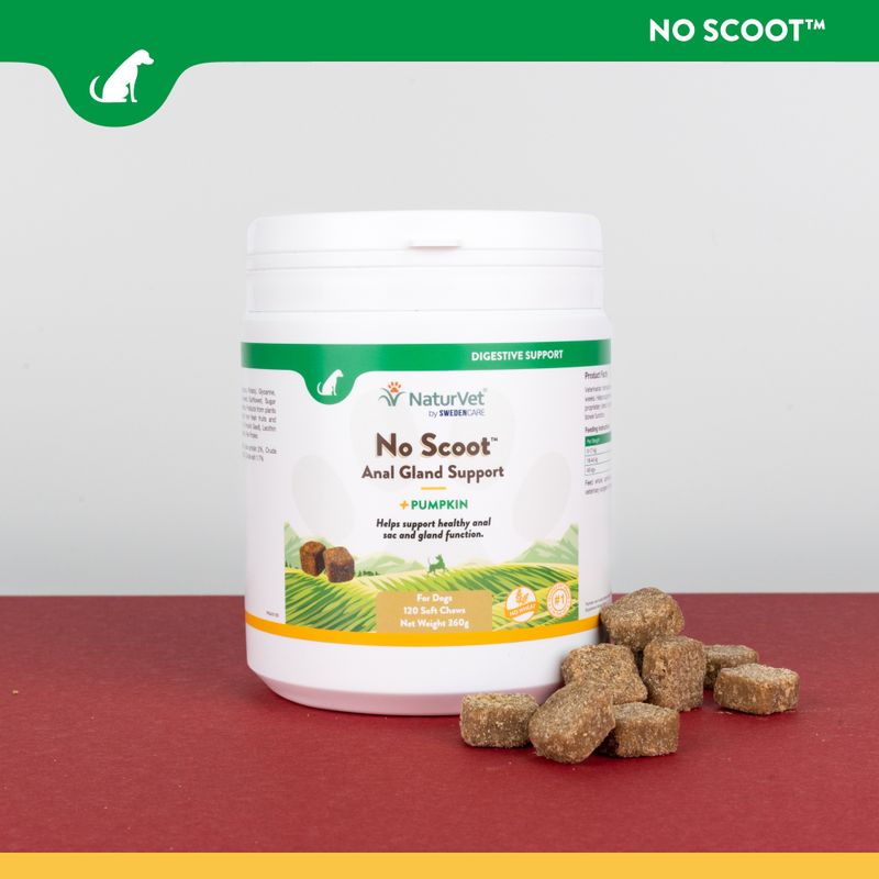 NaturVet No Scoot 60 Chew Cubes