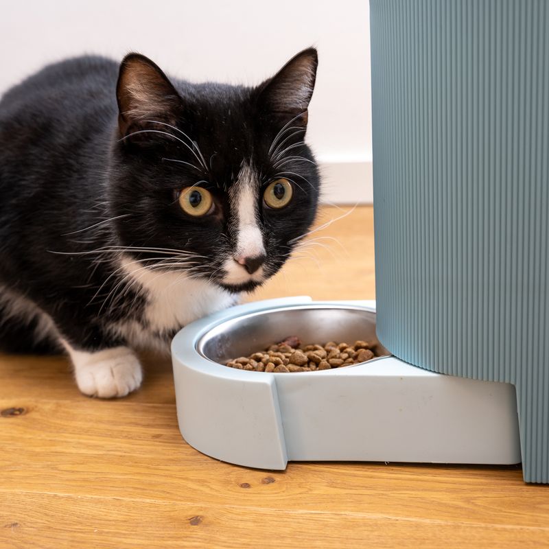 TIAKI Light Blue Food and Water Dispenser Up to 1.3kg Dry Food & 3L Water