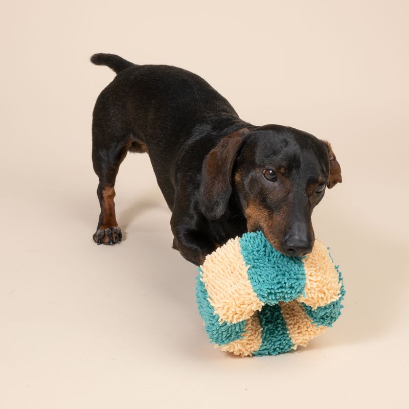 TIAKI Dog toy ring Size M: diameter 7.5 x (H) 15.5 cm