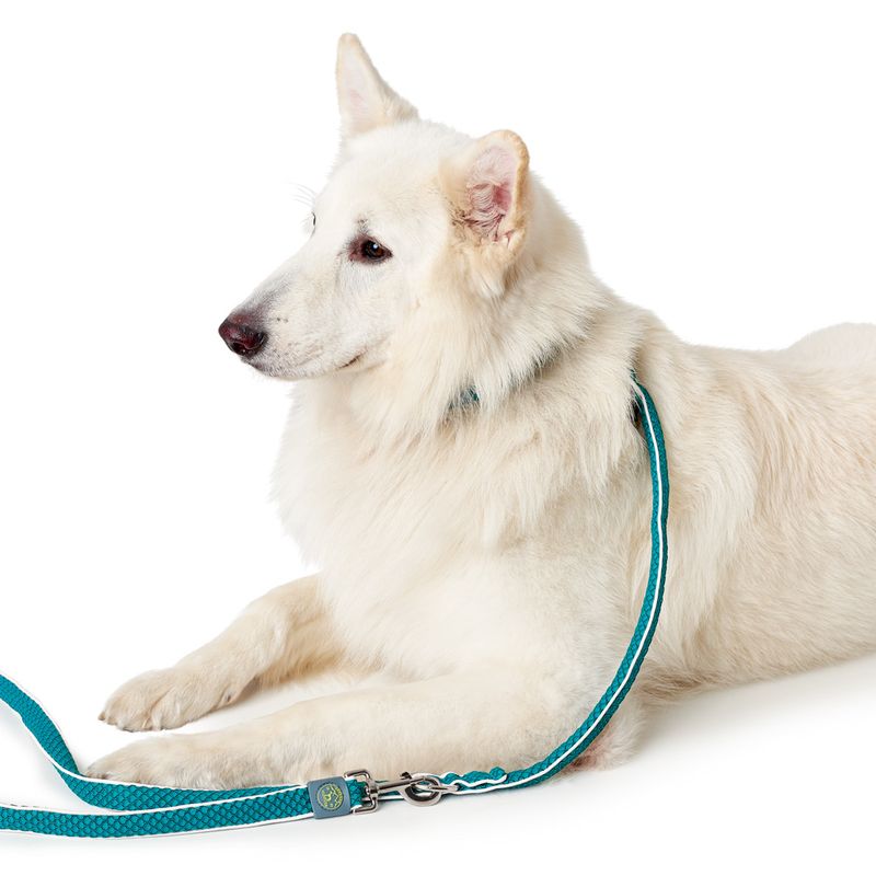 HUNTER Adjustable Lead Hilo - Turquoise 200cm x 20mm (L x W)