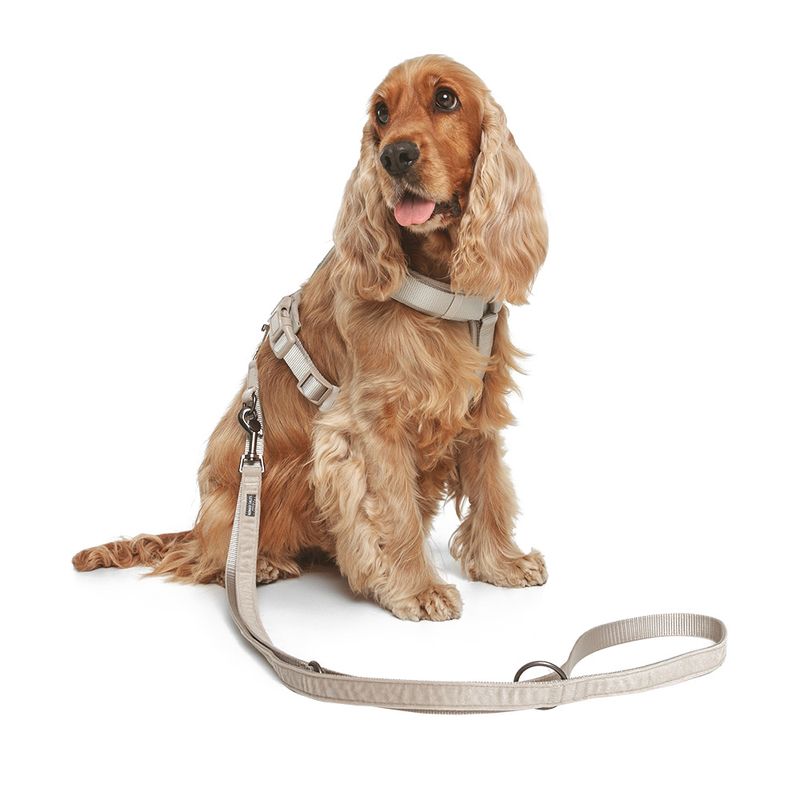 Nomad Tales Blush Dog Leash, taupe 120 cm long, 15 mm wide