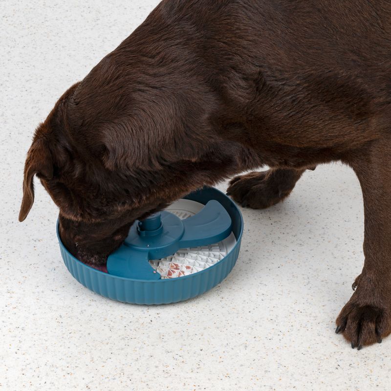 TIAKI Helice Slow Feeder 1000ml (25.5cm Diameter)