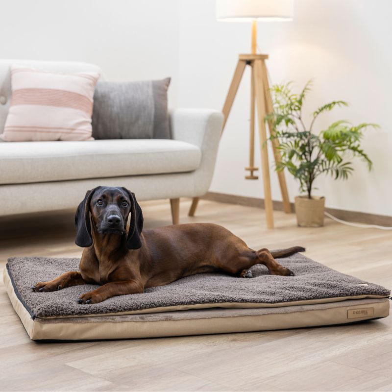 Kerbl Pet Multifunctional Mattress Approx. 72 x 50 x 5cm (L x W x H)
