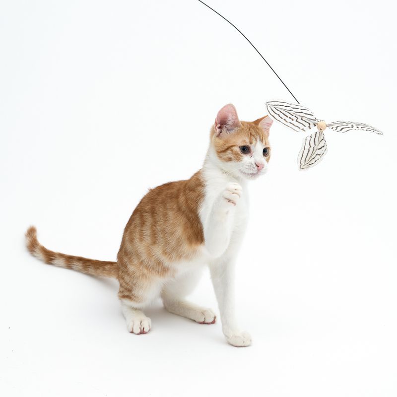 TIAKI Flying Feathers Cat Teaser 1 Toy
