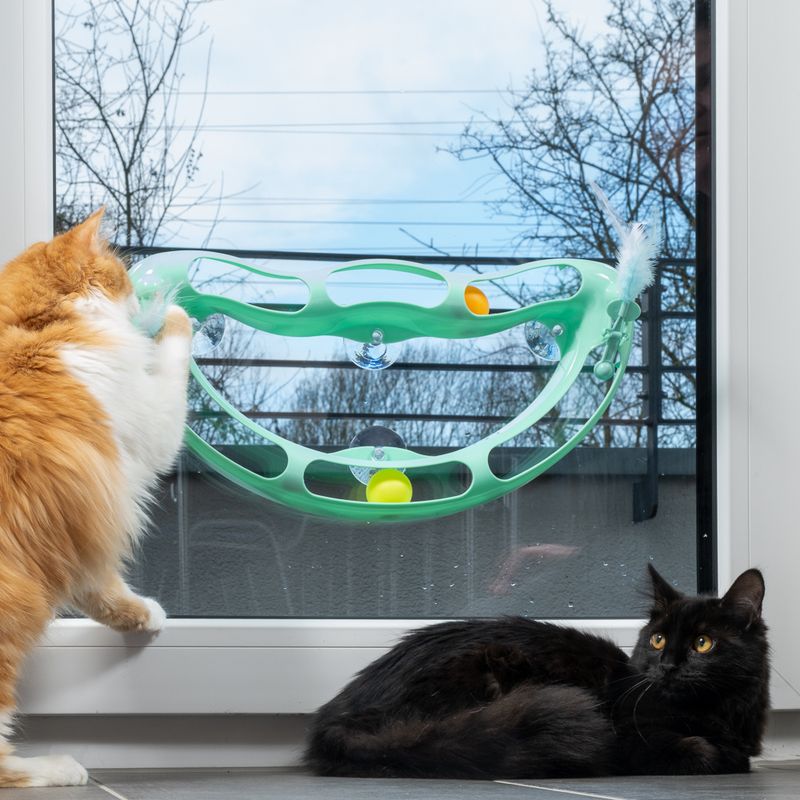 TIAKI Wave Circuit Cat Toy 1 Toy