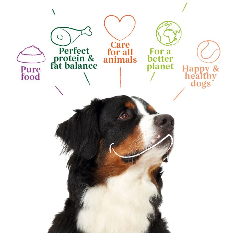 Yarrah Organic Dog Chew Sticks 3 Sticks (3 x 11g)