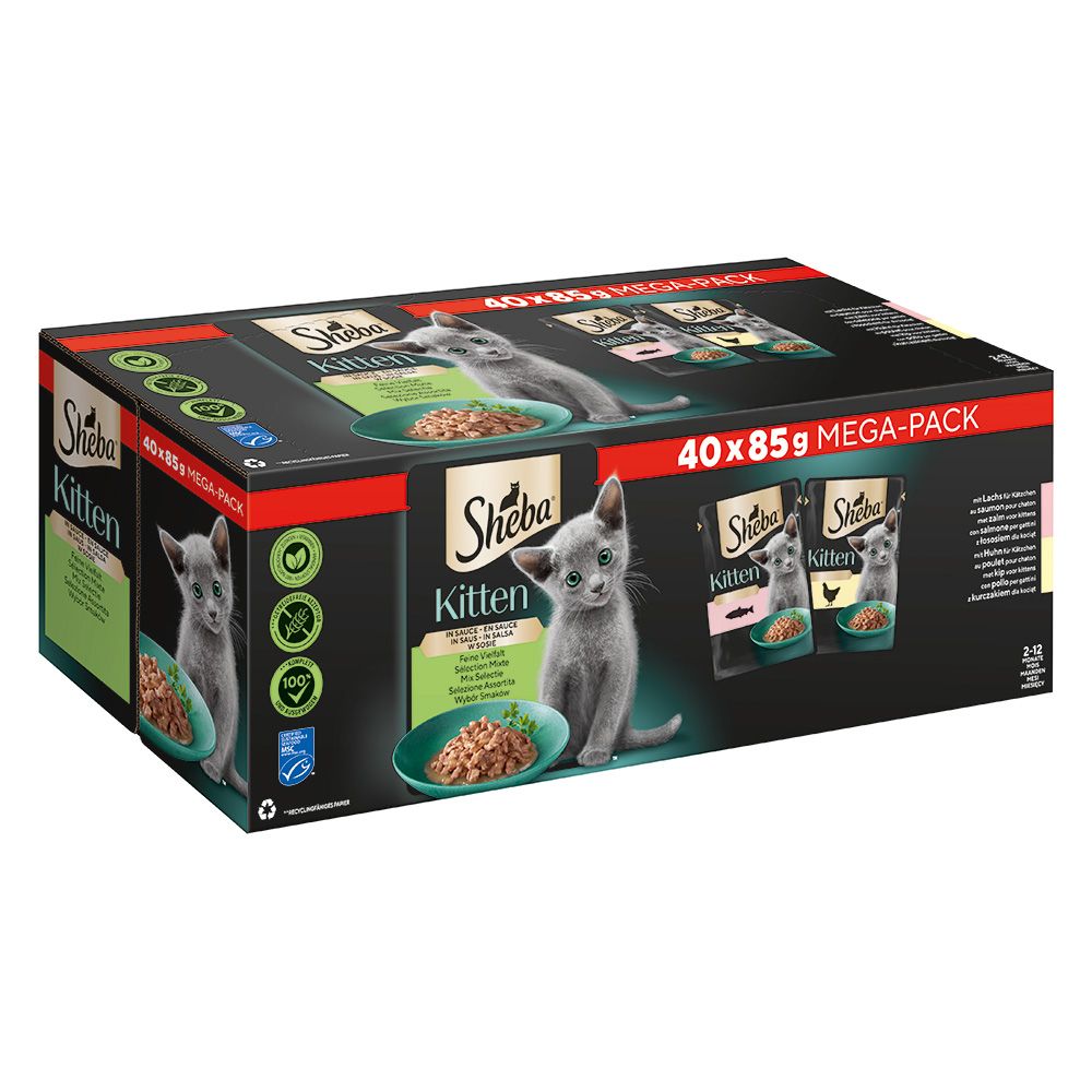 Sheba Kitten Pouches Varieties 40 x 85g Meat & Fish Collection in Gravy