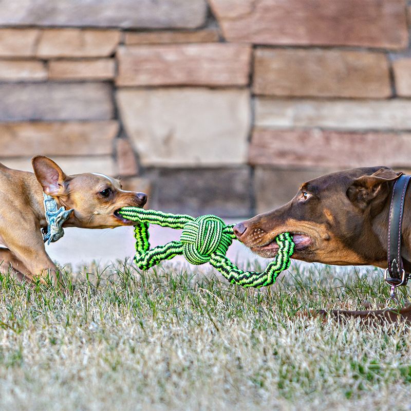 Jolly Pets Knot-N-Chew 1 Toy