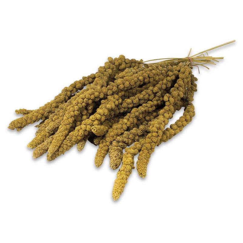 JR Birds Foxtail Millet, Yellow 1kg
