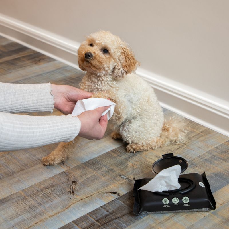 kooa Care Wipes Strawberry (50 Wipes)