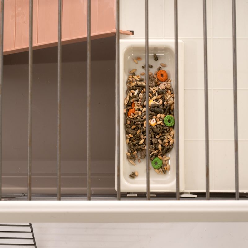 TIAKI XXL Rabbit Cage 240 x 58 x 52 cm (L x W x H)