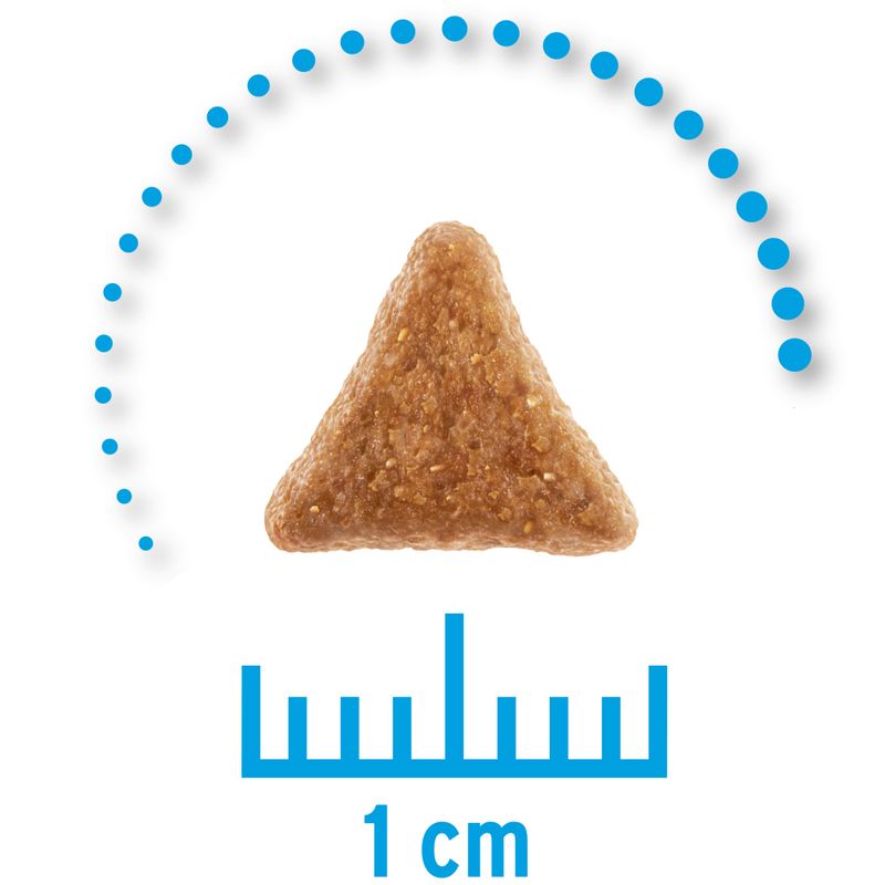 Concept for Life Veterinary Diet Economy Pack 2 x 10kg Hypoallergenic Insect (2 x 10kg)