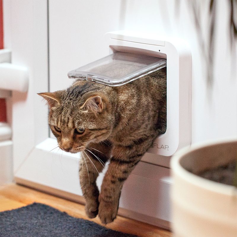 SureFlap Microchip Cat Flap White Cat Flap
