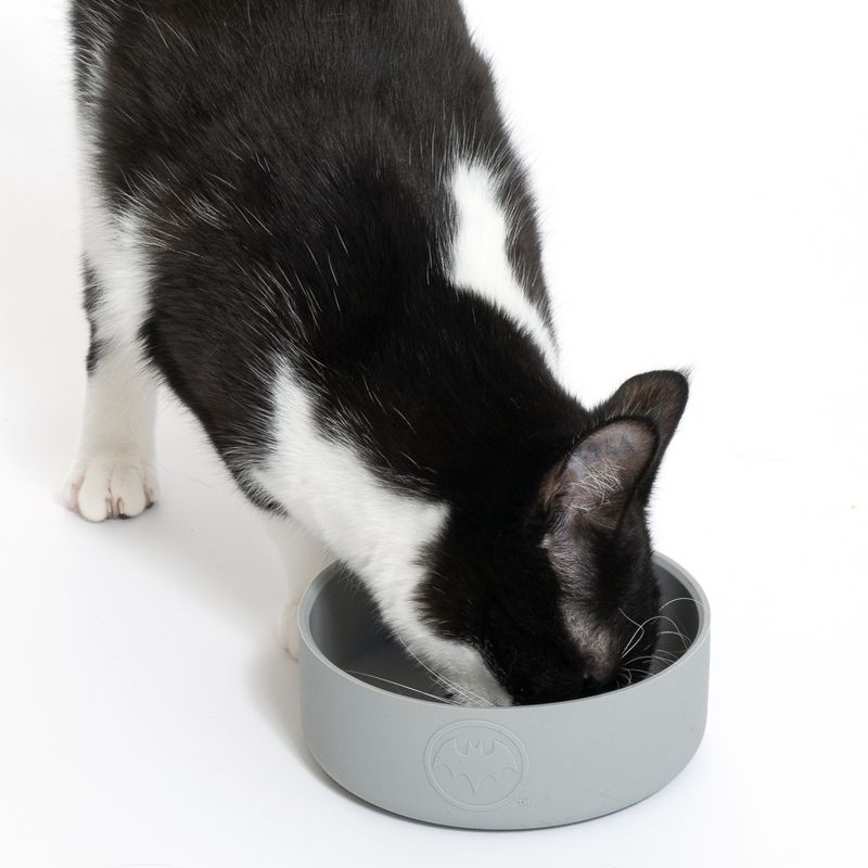 Warner Bros™ DC Batman Silicone Bowl 580ml, diameter 14cm