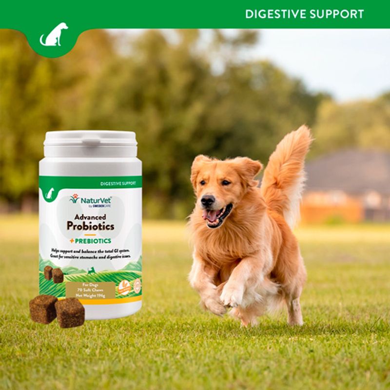 NaturVet Advanced Probiotics+ 70 Chews