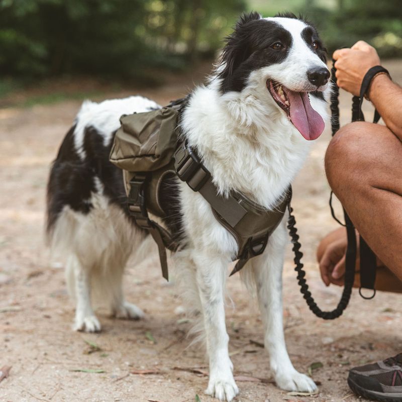 Nomad Tales Tactical dog harness M: approx. 76-91 cm chest circumference