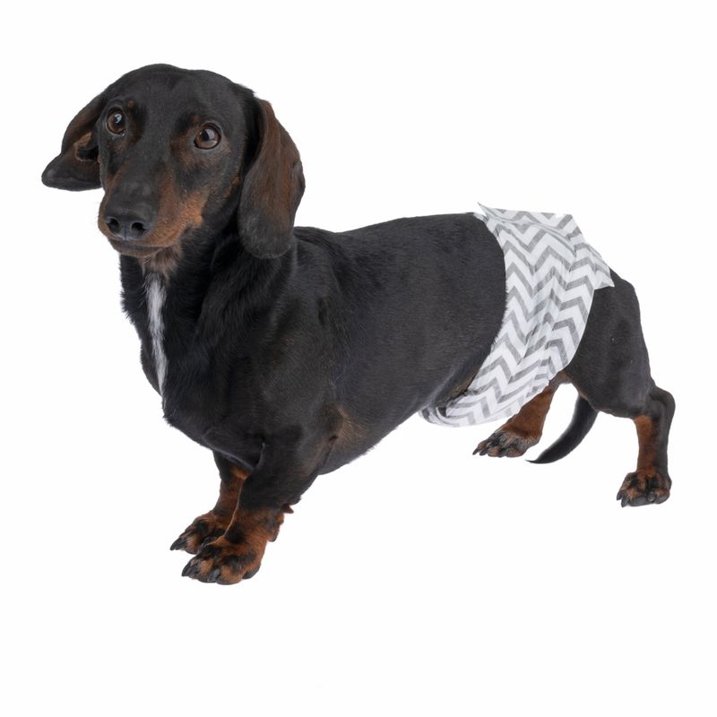 kooa Male Nappies with Charcoal Extra Small (15 Nappies)