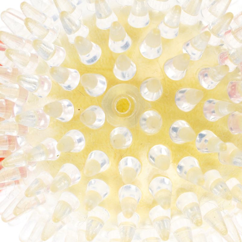 TIAKI Pufferfish Spiky Ball diameter 8.5 x (W) 13 cm