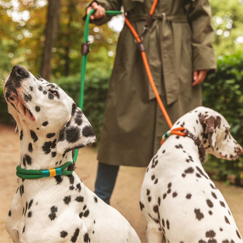 Nomad Tales Spirit Leash, pine 200 cm long, diameter 10 mm