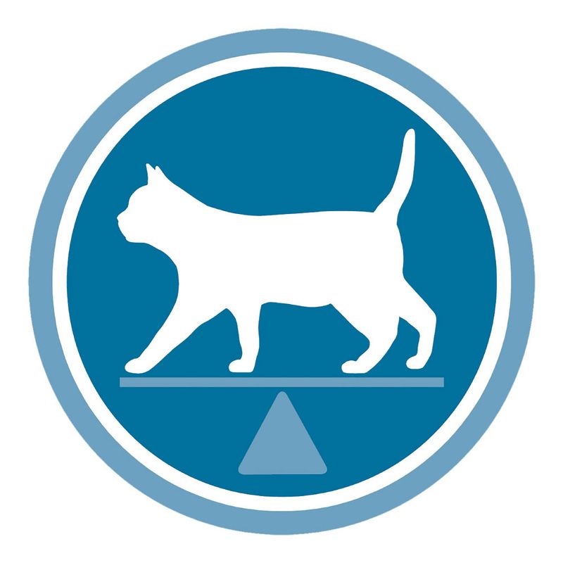 PURINA ONE Sterilised Trout 1,5 kg