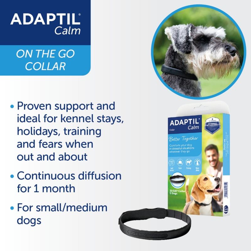 ADAPTIL® Calm Collar for Dogs Puppy / Small dogs