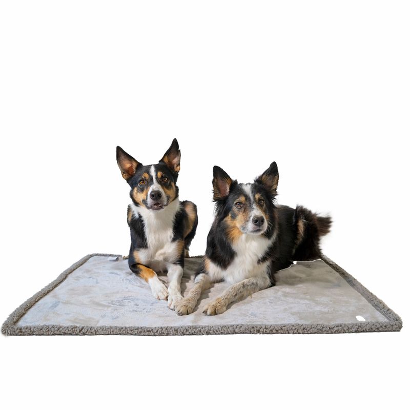 TIAKI Waterproof Dog Blanket - Grey Size S: 73 x 63 cm (L x W)