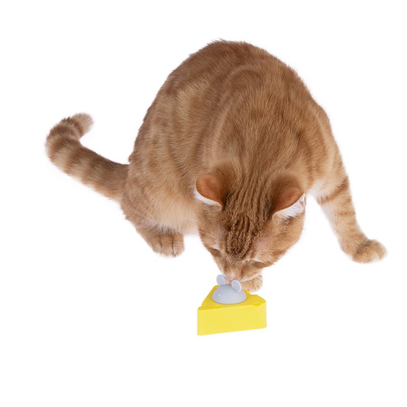 TIAKI cat toy catnip cheese 6.5 x 6.3 x 4.6 cm