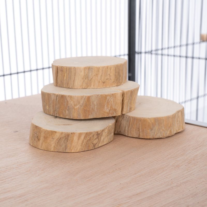 TIAKI Coffee Wood Nibble Discs Set of 4 6-10cm (W)