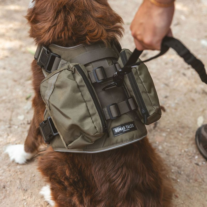 Nomad Tales Tactical dog harness M: approx. 76-91 cm chest circumference