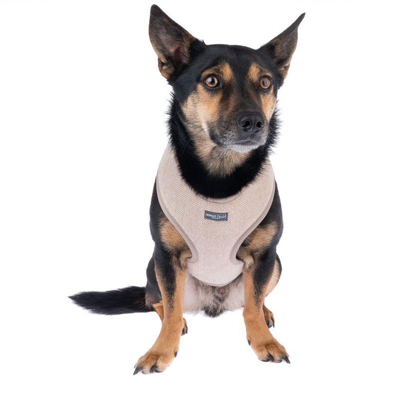 Nomad Tales Calma Harness - Sand Size XS: 26 - 34 cm chest circumference