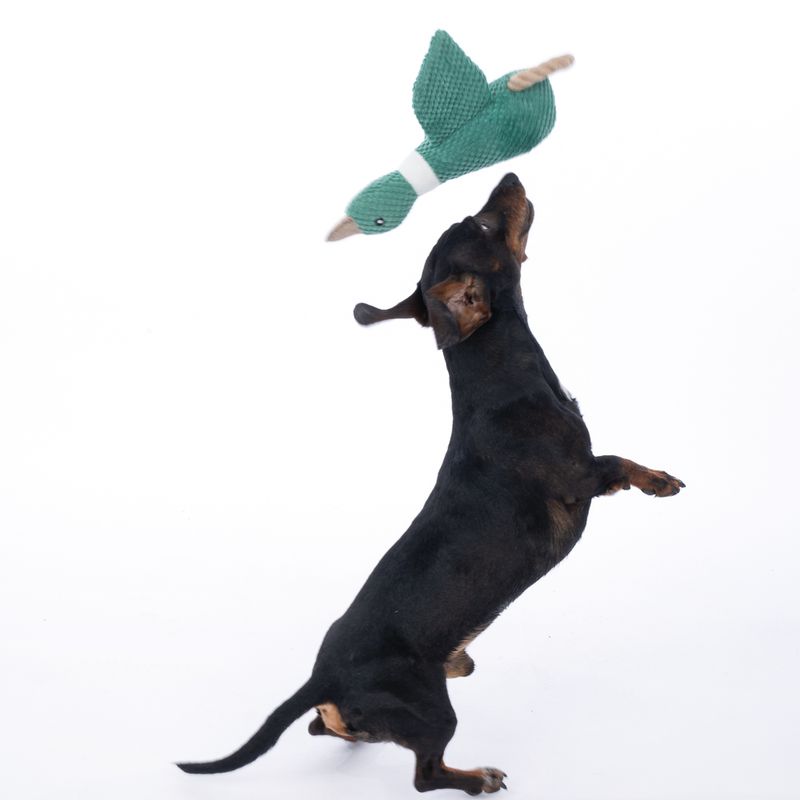 TIAKI Duck with Rope Dog Toy 35 x 32.5 x 8 cm (L x W x H)