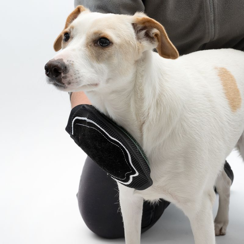 kooa Double-sided Grooming Glove 1 Glove