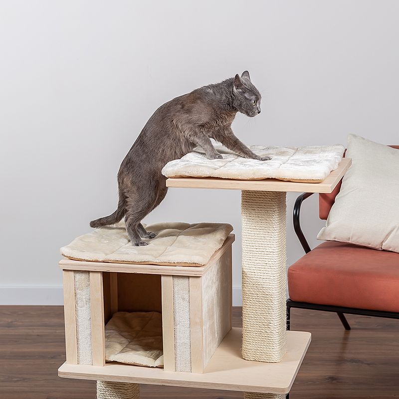 Natural Paradise Cat Tree Orchid Vanda S cream