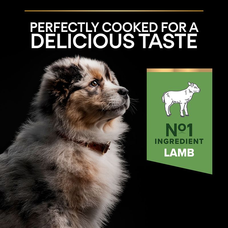 PURINA PRO PLAN Medium Puppy Lamb & Rice Sensitive Digestion 3kg