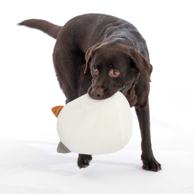 TIAKI Soft Toy Kitten 42 x 25 x 13 cm (L x W x H)