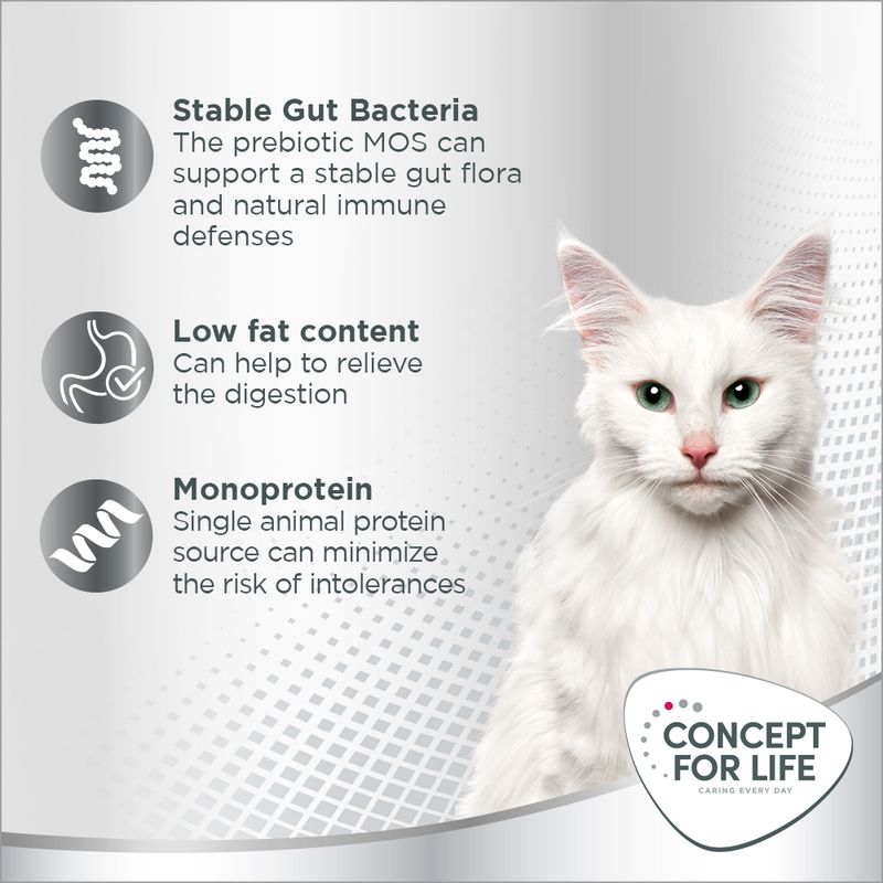 Concept for Life Sensitive Cubes 25g