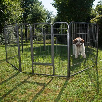 Metal Run for Puppies – 8 Sided 8 Elements, each 80 x 80 cm (L x H)