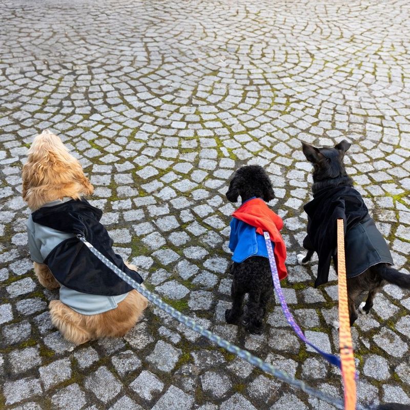 Warner Bros™ DC Superman Dog Costume Size S/M: 35cm Back Length