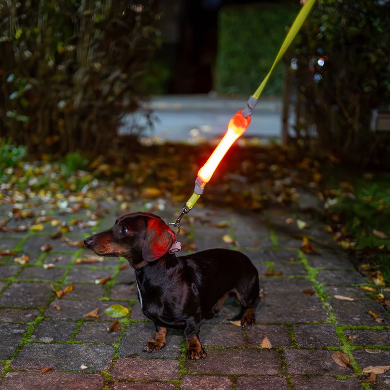 Nomad Tales Spirit USB Jelly Light Strip 18.5 x 3.5 x 1.7cm (L x W x H)