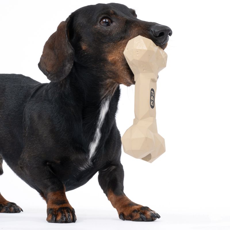 TIAKI Rubber Bone Dog Toy 16 x 7.5 x 4 cm